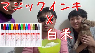 白米にマジックインキ使ってみた！