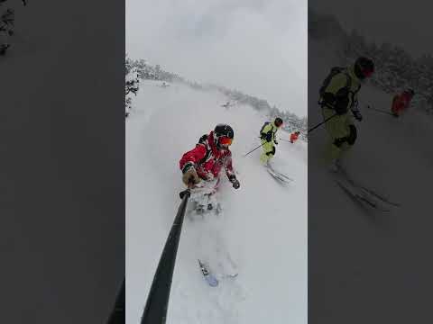 GoPro | Massive Party Shred on a Powder Day 🎬 Álvaro Penadés #Shorts #Skiing