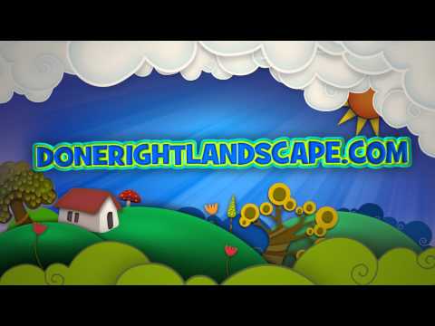 SIMPLY THE BEST VIDEO