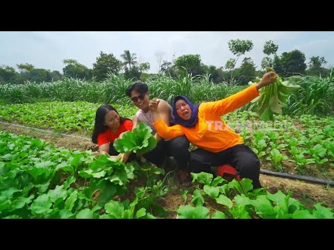 [FULL] OLAHAN UNIK EMAK ENAH | ENAH BIKIN ENAK (13/06/25)