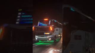 Download lagu kids panda sekarang mp3