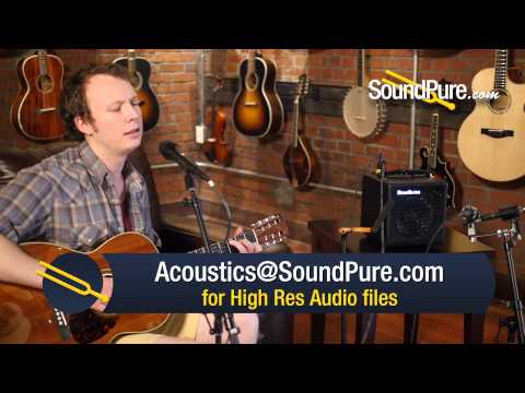Henriksen The Bud Combo Guitar Amp: Singer/Songwriter Setup