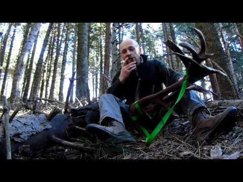 PALCHI DI CERVO 2017 Il Signor Bestia