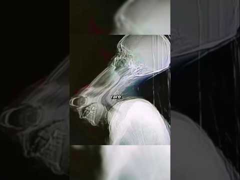 Rare Photos You've Never Seen Before [Part 368]