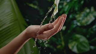 Download lagu 4K Hand | Water | Pouring | Flowing | Free Stock Video Footage [ No Copyright ] mp3
