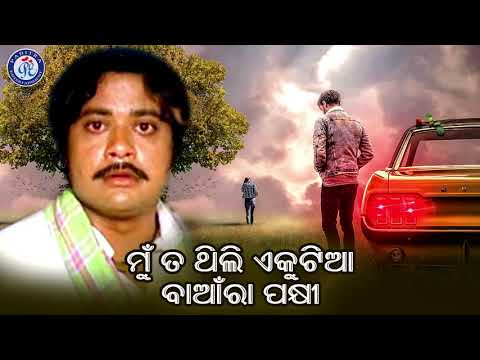 Mu Ta Thili Ekutia | ମୁଁ ତ ଥିଲି ଏକୁଟିଆ | ସୁରେଶ ୱାଡେକରଙ୍କ କଣ୍ଠରେ ଡୋର ଚଳଚ୍ଚିତ୍ରର ସୁନ୍ଦର ଗୀତ