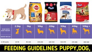Feeding Guidelines | Schedule | Tips | How Much Food Should I Puppy And Dog Feding