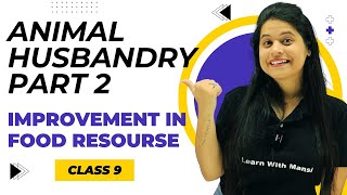 Animal Husbandary Part 2 | Chapter 12 | Improvement in Food Resources | Class 9 Science