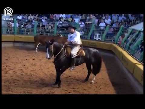 Bocal de Ouro Esteio (RS) – 5° lugar fêmeas – Malícia 608 da Reconquista