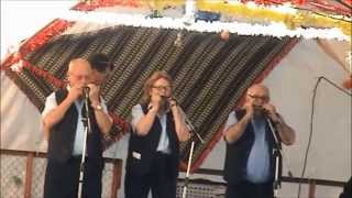 preview picture of video 'Grupo de Harmónicas A Baía do Seixal em S.Bartolomeu da Serra'