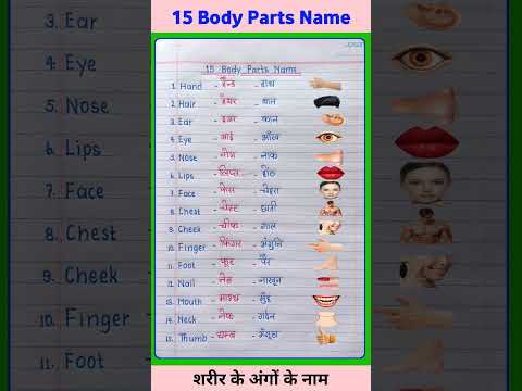 15 Body Parts Name in Hindi-English | शरीर के अंगों के नाम | Body Parts Name #shorts #bodypartsname