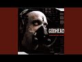 Shadow to Fall (Leather Strip Mix)