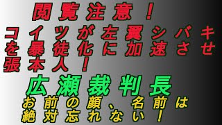 閲覧注意‼️ コイツが左翼シバキ隊を暴徒化に加速させた張本人‼️広瀬裁判長‼️#増山誠#しばき隊#斎藤元彦#兵庫県問題#百条委員会#躍動の会#立花孝志#NHK党#公益通報保護法