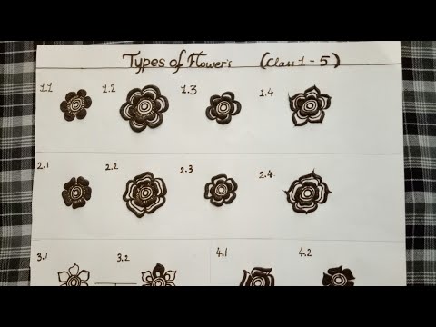 Types of flowers | (class 1 out of 5) | Classes for beginners.
