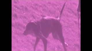 Anyone Else Isn't You