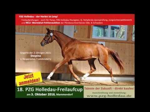 "Der Herbst ist jung": PZG Holledau - Freilaufcup 2016 mit Fohlenauktion