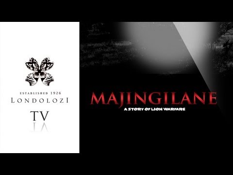 Majingilane - The Story of Lion Warfare