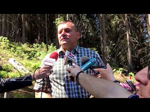 Danut Candrea _ Primar com. Dorna Candrenilor