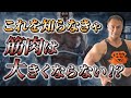 【初心者向け】ゼロから分かる知らなきゃやばいプロテインの基礎知識