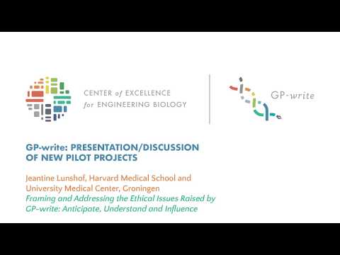 New Pilot Projects | Jeantine Lunshof