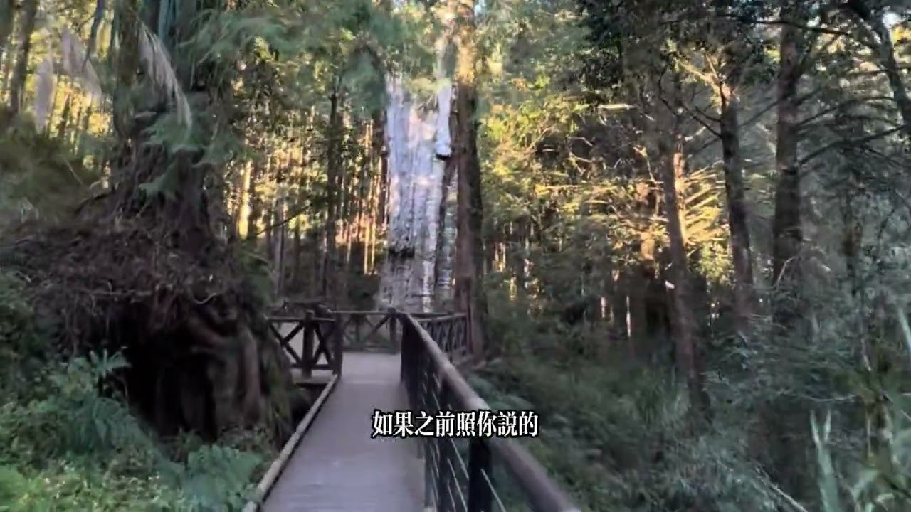 還在呼吸｜獻給有時後不想被鼓勵的人
