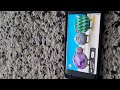 EggBird Lion BabyTV
