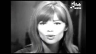 Sector*Trasher vs  Françoise Hardy -  Le Premier Bonheur du Jour