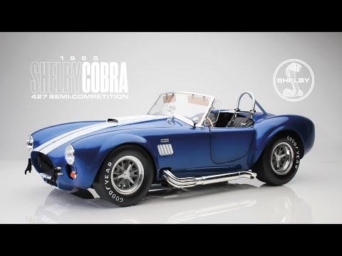 CBD for Cats Video Preview