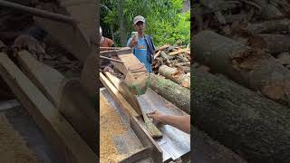 Download lagu merajang kayu ademati‼️ggergaji bundar sérkel keliling mp3 Download lagu merajang kayu ademati‼️ggergaji bundar sérkel keliling mp3