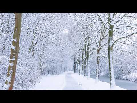 Stan Van Samang - De eerste sneeuw (lyrics)