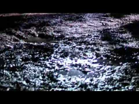 Mundeke Numbe   Kenzo