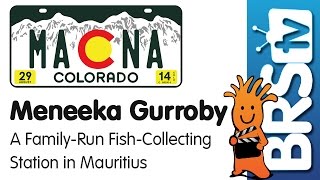 A family-run fish collecting business in Mauritius by Meneeka Gurroby | MACNA 2014