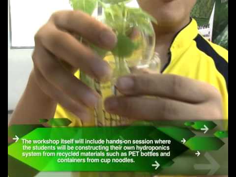 Anglo-Chinese School (Independent), Educational Package - An Insight to Hydroponics