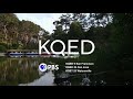 PBS KQED Title Card 2023