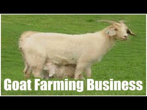 , title : 'Goat Farming As A Profitable Business'