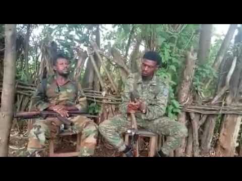 Breking News Waraanni Bilisummaa Oromoo WBO Guyyaa har'aa injifannoo Gurguddaa Galmeesse