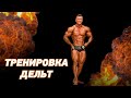 Тренировка дельт / Пью ли я жж? / Немного бомбит)