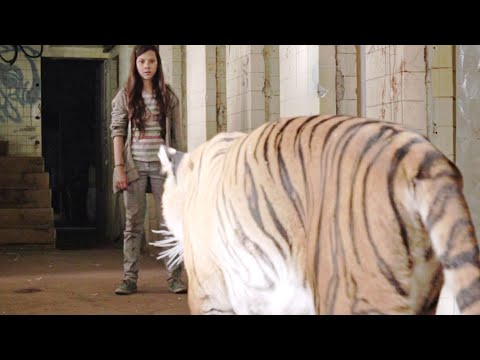 Tigers are Not Afraid (2017): A Group of Five Children Attempting to Escape the Horrific Drug Lords
