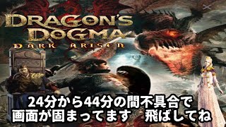 (9) DDDA ドラゴンズドグマダークアリズン