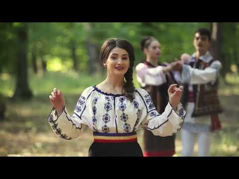 QR4ALL - Comuna Moșna