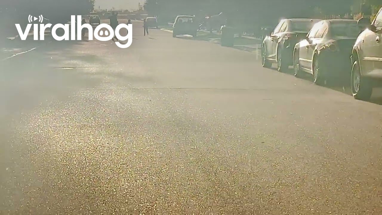 Half Rain and Half Shine || ViralHog