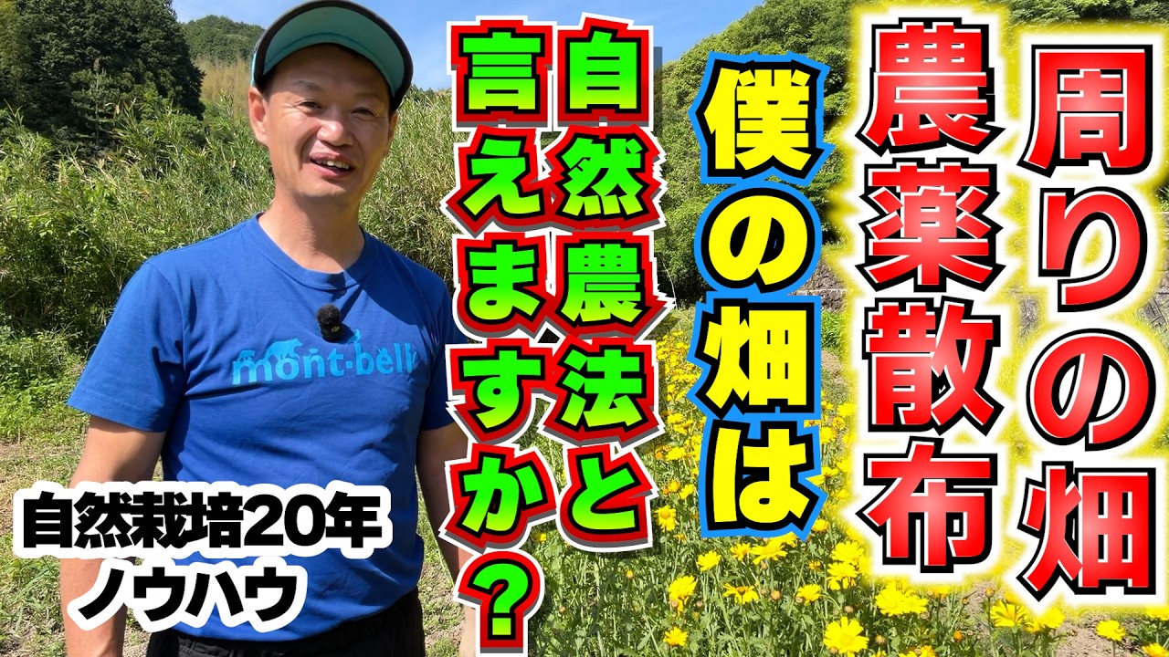 周囲が慣行農法でも自然栽培は可能!