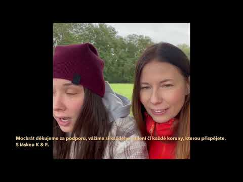 Pomozte nám zvířatům kterým osud nepřál dát druhou šanci