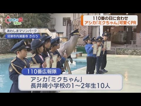YouTube Video 沼津警察署の１１０番広報隊長にあわしまマリンパークのアシカ「ミクちゃん」が任命され適正利用をPR　静岡・沼津市