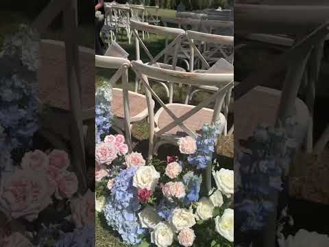 🌹Romantic Bliss: White Roses & Soft Pink Blooms Amidst the Rolling Hills of Tuscany 🌹🌿