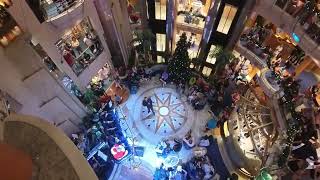 Christmas Tree Lighting on Radiance of the Seas 2025✨