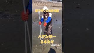 NEW潮干狩りスタイル！ハマンボーで探る。