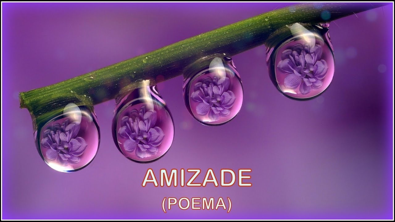 ♦ Amizade ♦ (Poema)