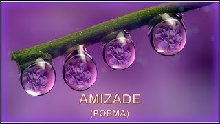 ♦ Amizade ♦ (Poema)