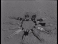 Sono Stato Io Tutti Al Mare Clip